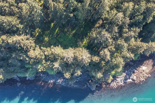 a view of a backyard of a house