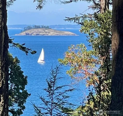 a view of a house with backyard and wooden fence