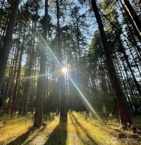 a backyard of a house with lawn chairs and wooden fence