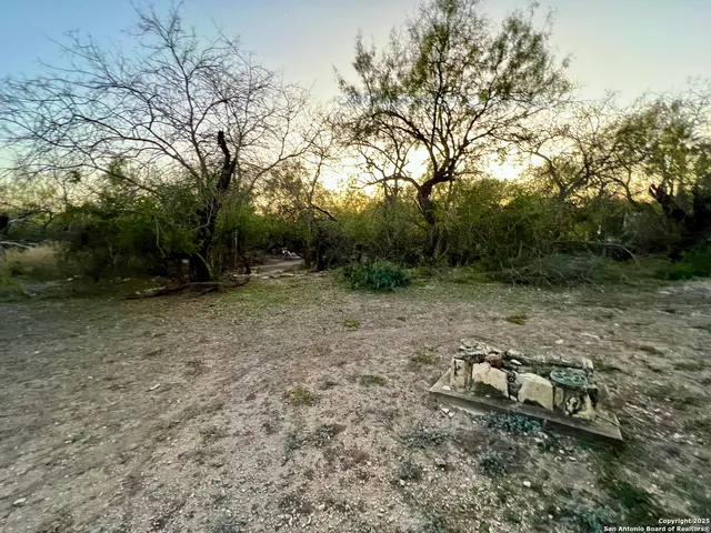 a view of a forest with trees
