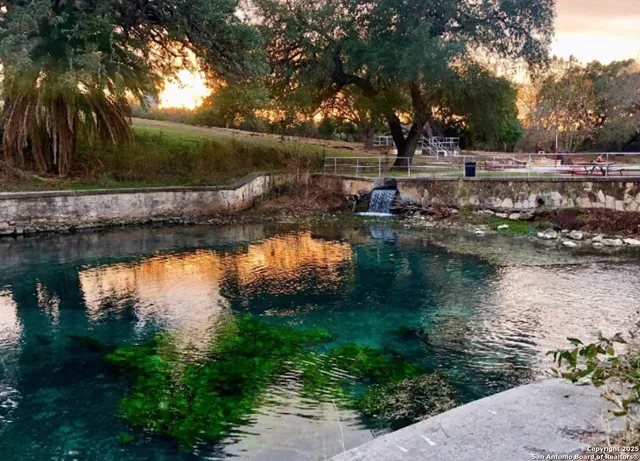 a view of swimming pool with a yard