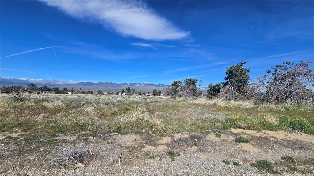 0 Lancaster Rd/hwy 138 Vic 283rd Street Lancaster, CA 93536 - Photo 21 of 34