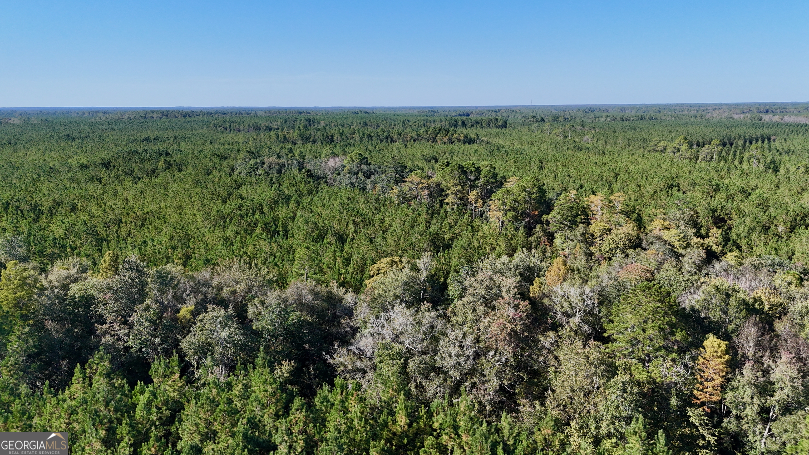 0 Antioch Cemetery Road Folkston, GA 31537 - Photo 2 of 6 a view of a green field with lots of bushes