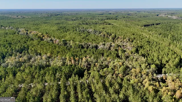 a view of a lush green forest with trees and some houses