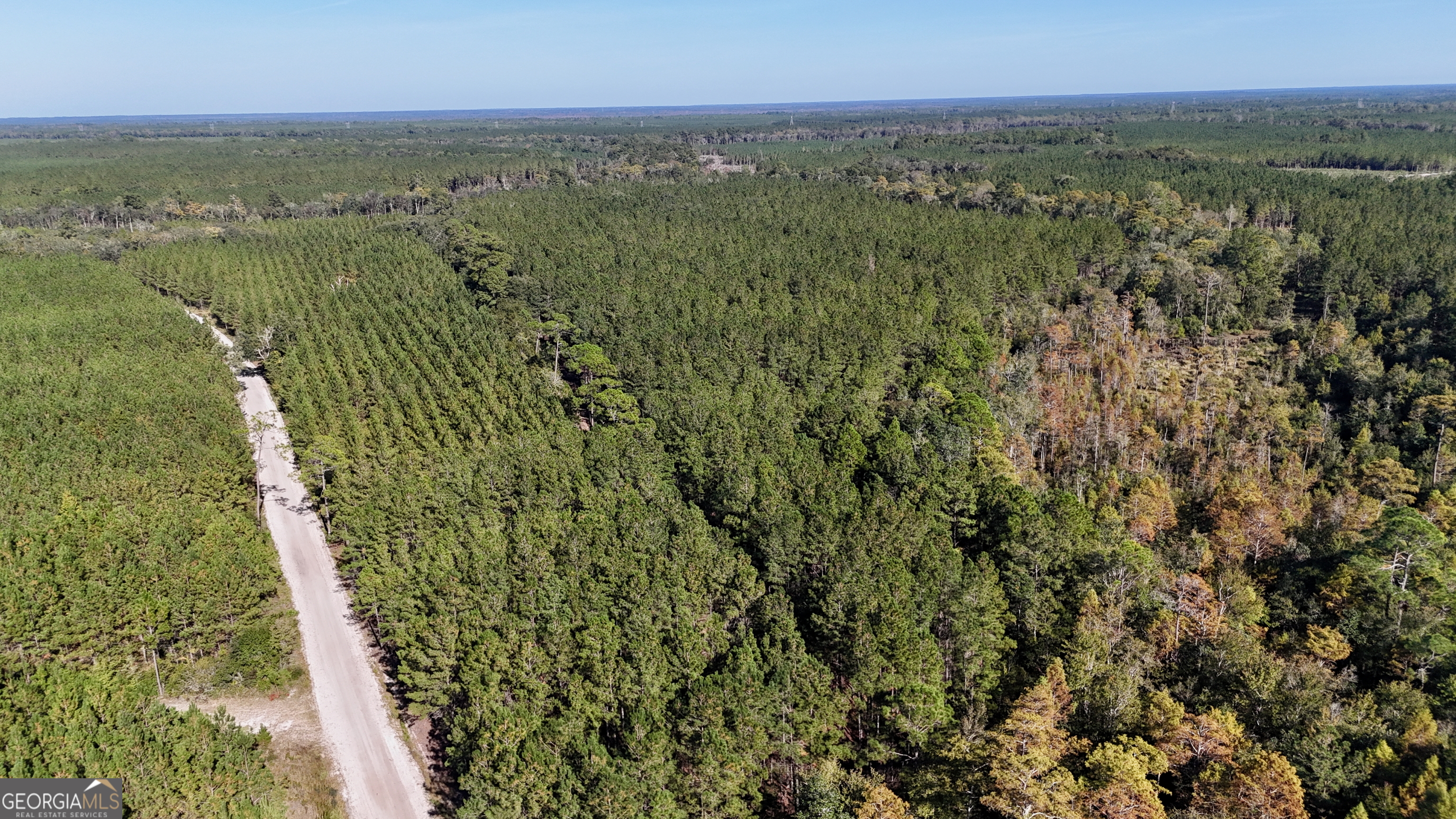 0 Antioch Cemetery Road Folkston, GA 31537 - Photo 4 of 6 a view of a city with lush green forest