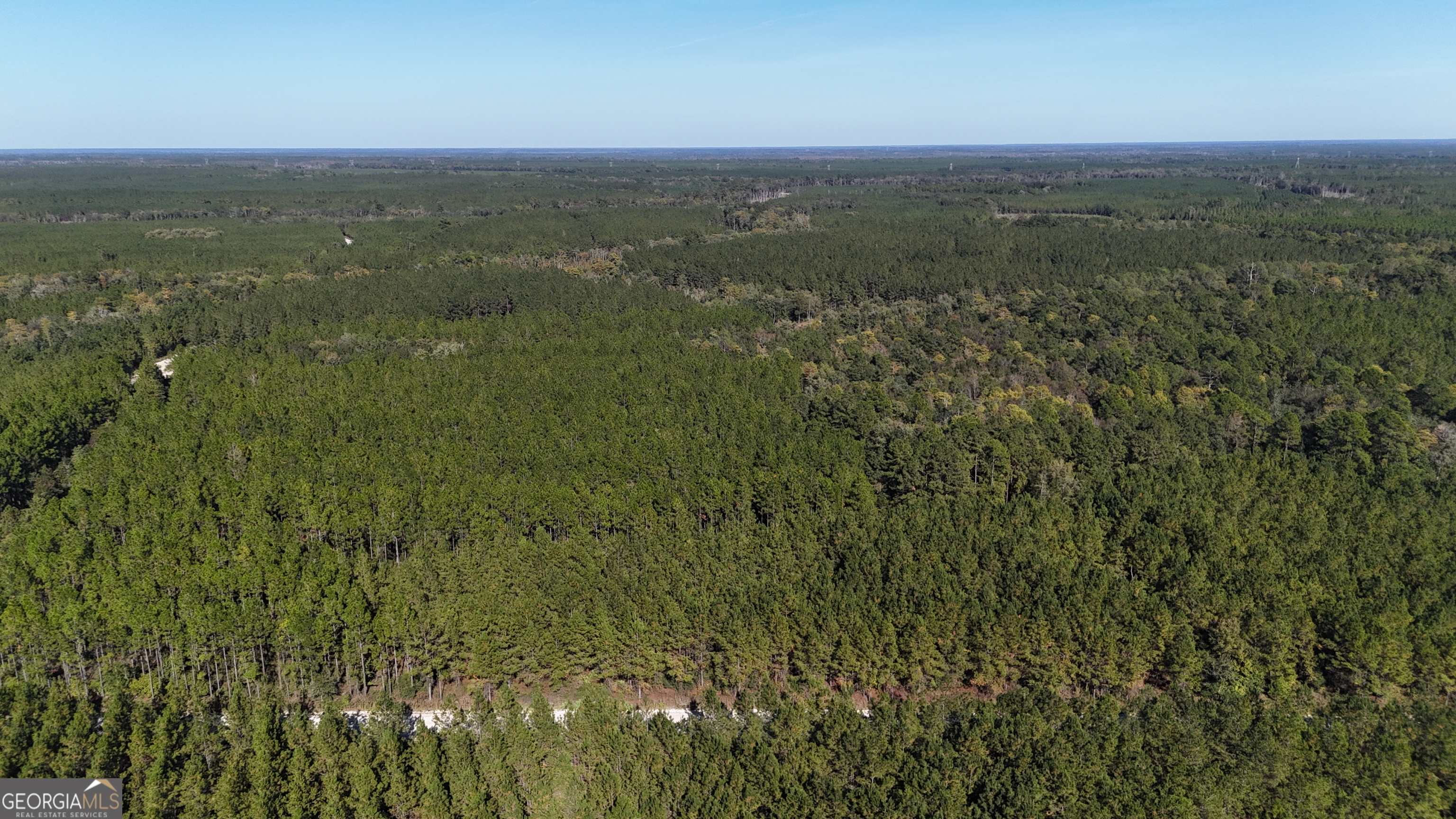 0 Antioch Cemetery Road Folkston, GA 31537 - Photo 5 of 6 a view of a city with lush green forest