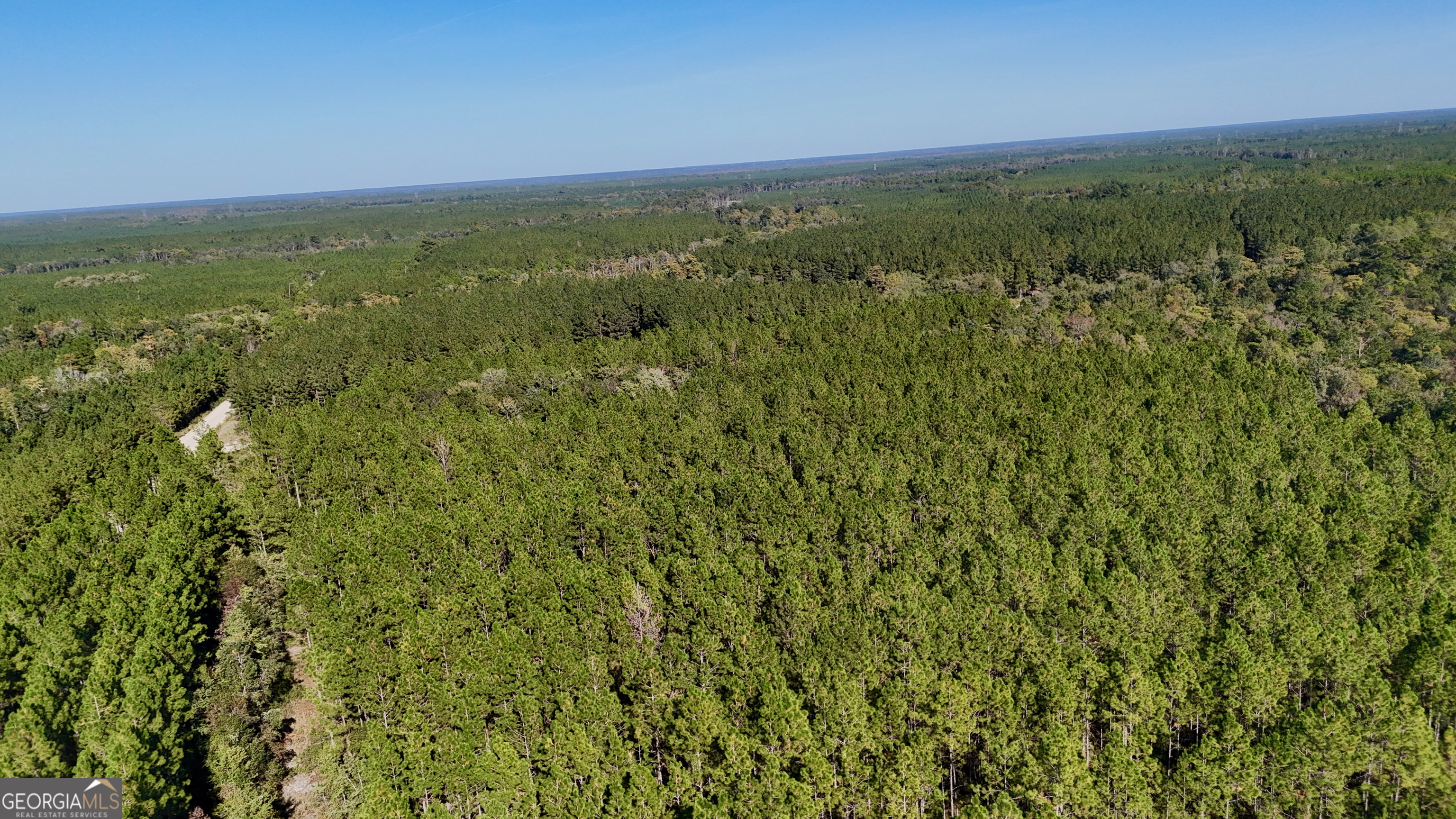 0 Antioch Cemetery Road Folkston, GA 31537 - Photo 6 of 6 a view of a green field with lots of bushes