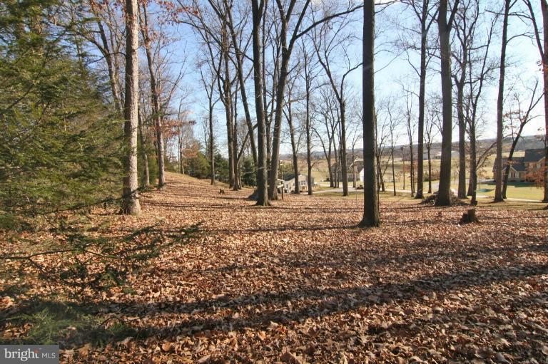 245 Stem Road Union Bridge, MD 21791 - Photo 24 of 26 a backyard of a house with lots of green space