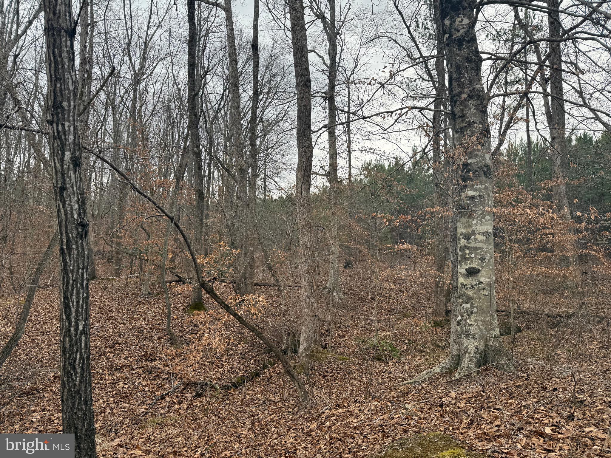 Lot 2 Hardware Road Arvonia, VA 23004 - Photo 11 of 16