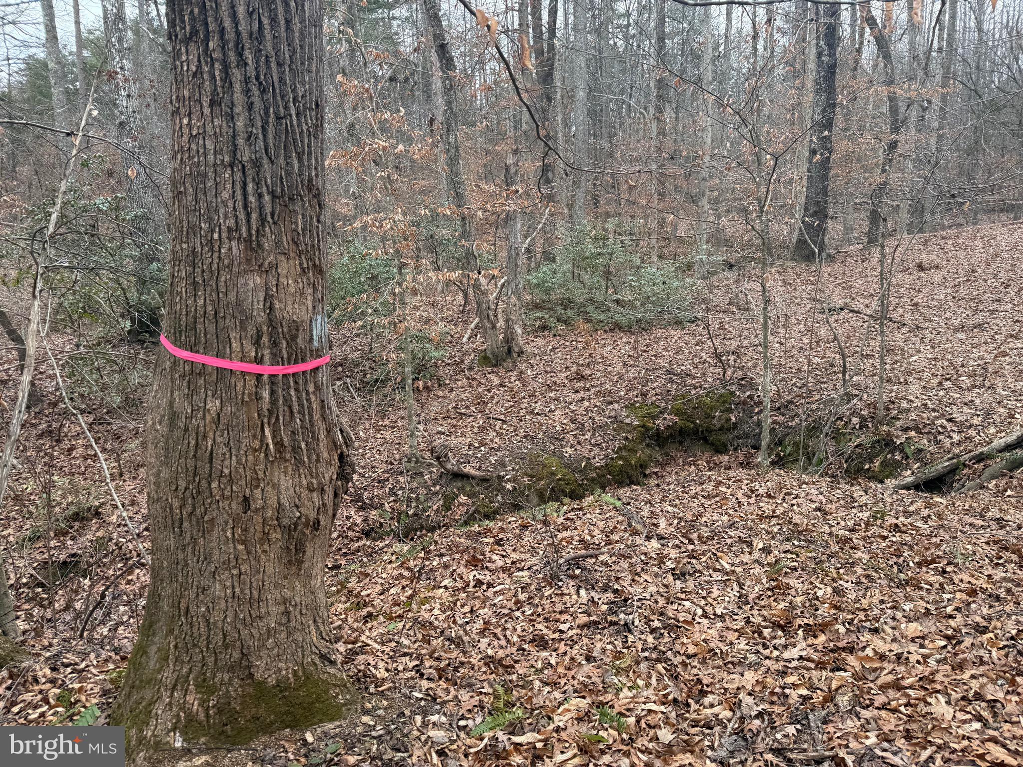 Lot 2 Hardware Road Arvonia, VA 23004 - Photo 13 of 16