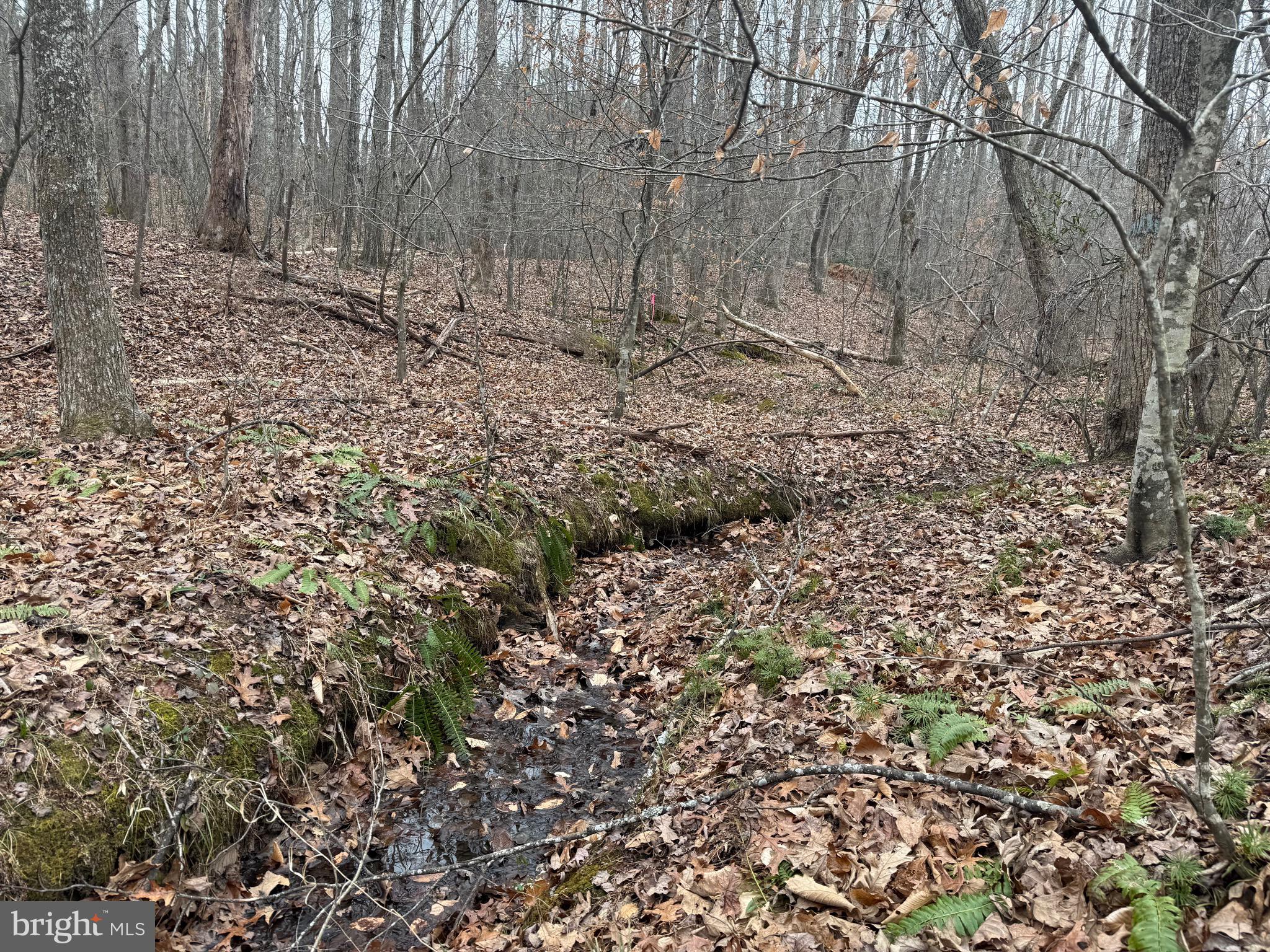 Lot 2 Hardware Road Arvonia, VA 23004 - Photo 15 of 16