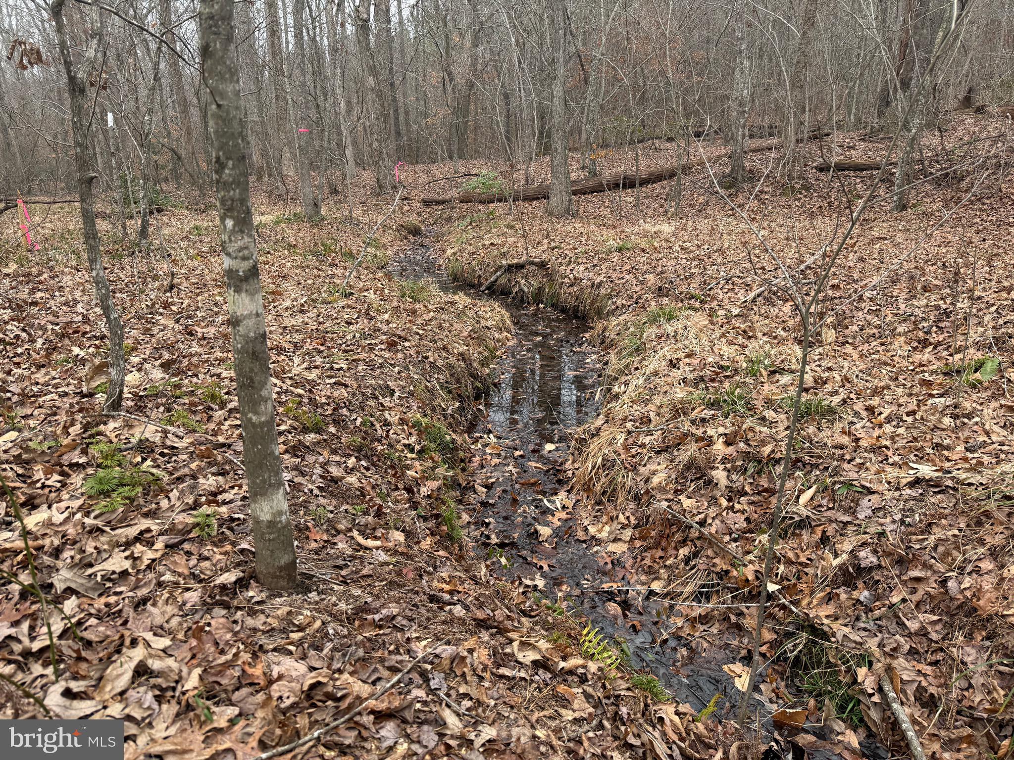 Lot 2 Hardware Road Arvonia, VA 23004 - Photo 16 of 16