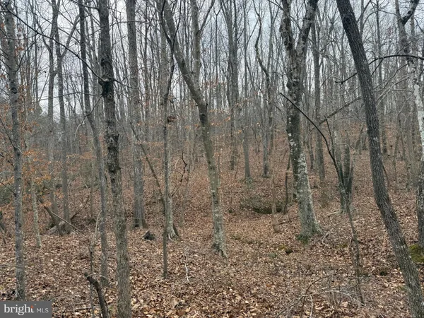 a view of a yard
