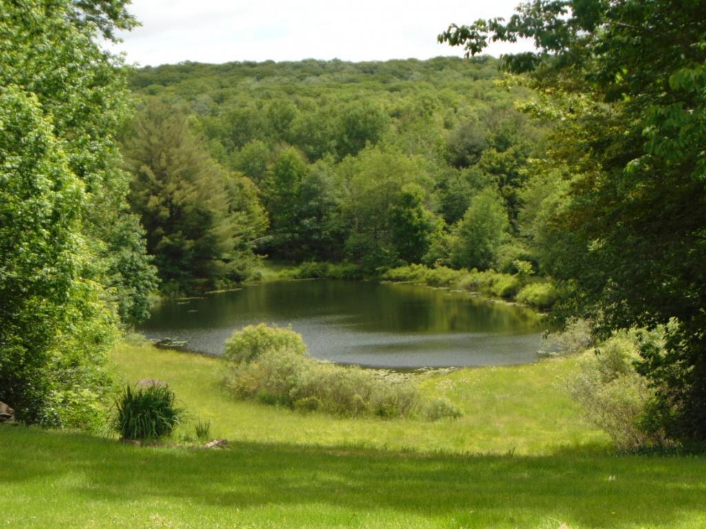 296 Tennent Road Windsor, NY 13865 - Photo 23 of 31 Gallery Image 23
