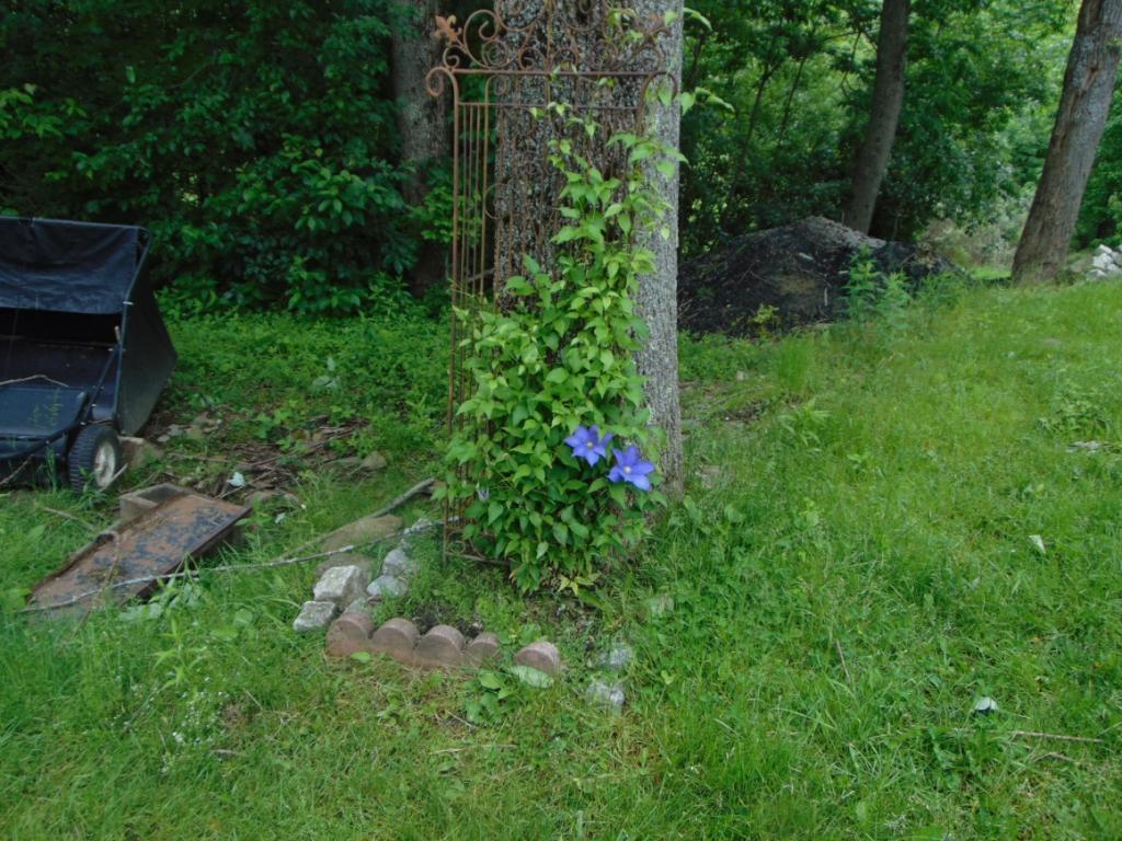 296 Tennent Road Windsor, NY 13865 - Photo 28 of 31 Gallery Image 28