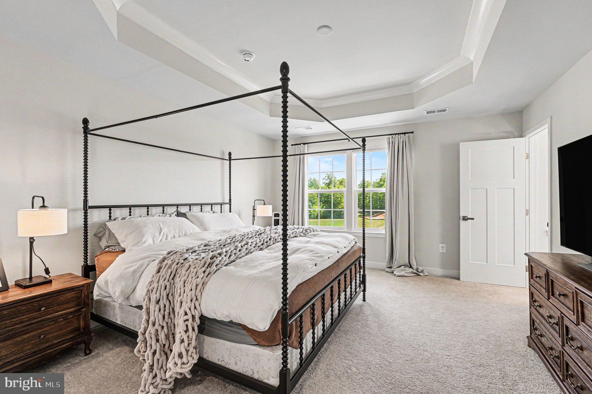 36066 Coyote Trail Locust Grove, VA 22508 - Photo 11 of 33 Tray ceilings in primary