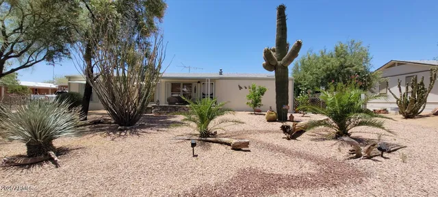a view of a backyard with plants and a bench