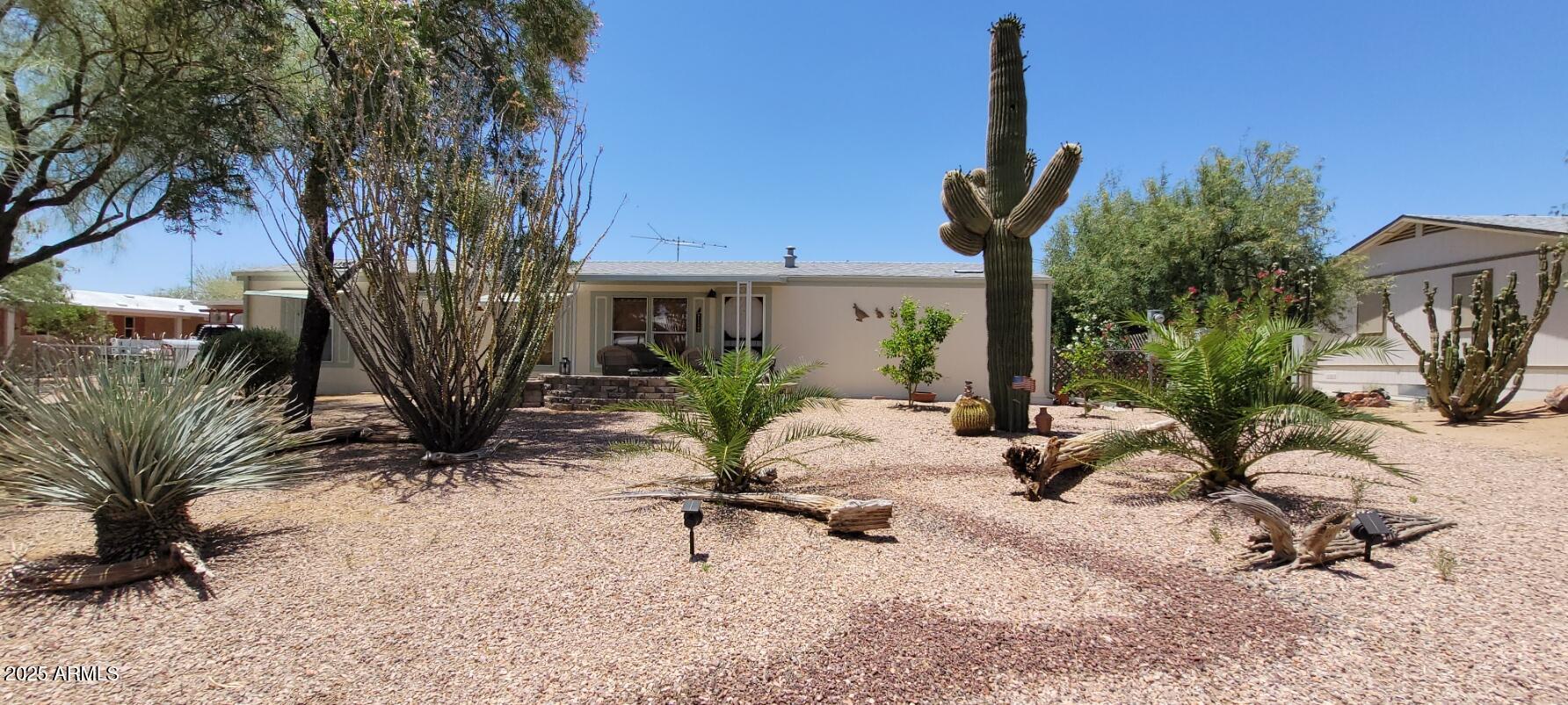a view of a backyard with plants and a bench
