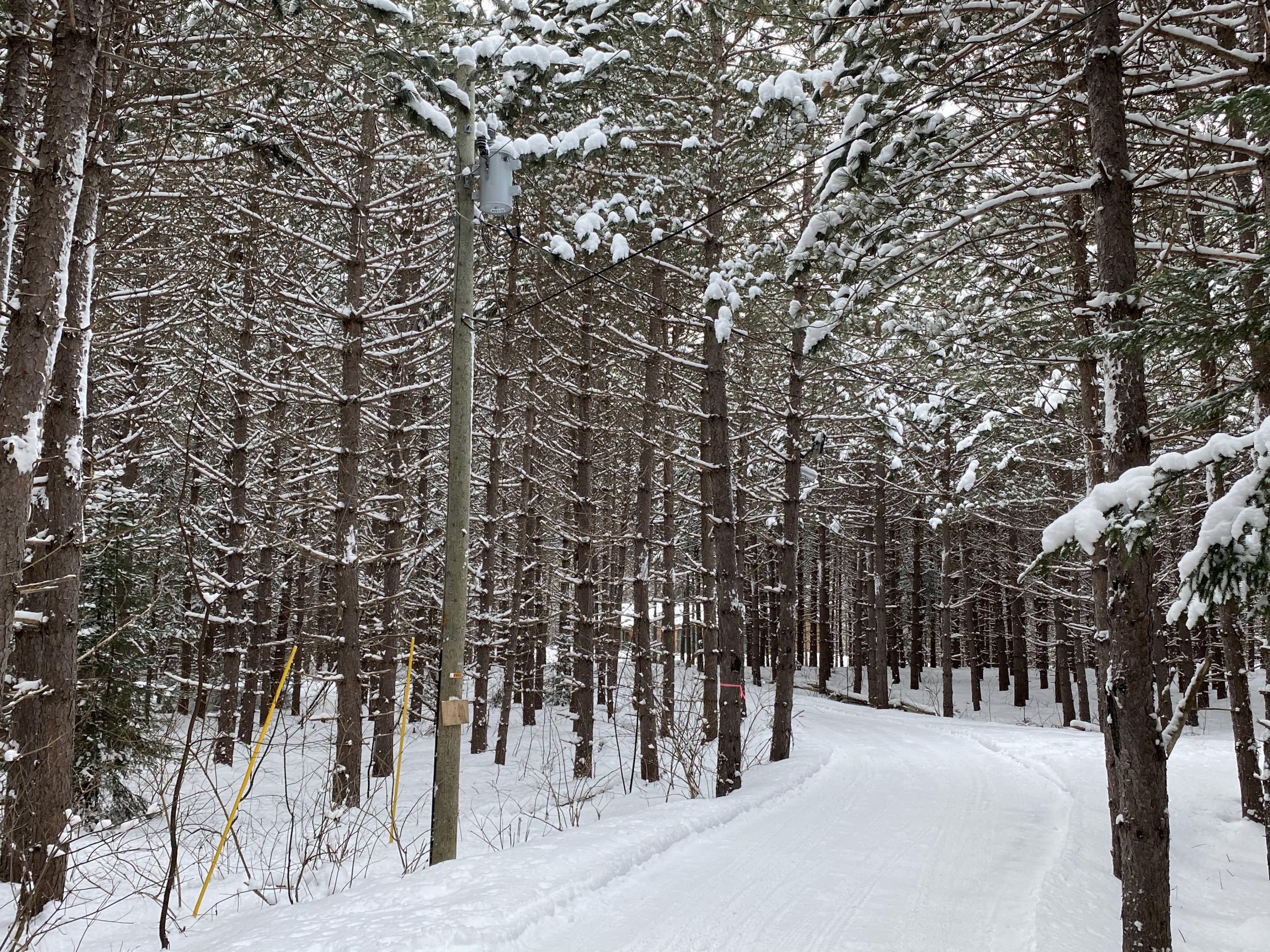 10 White Road Presque Isle, ME 04769 - Photo 2 of 26 IMG_6143