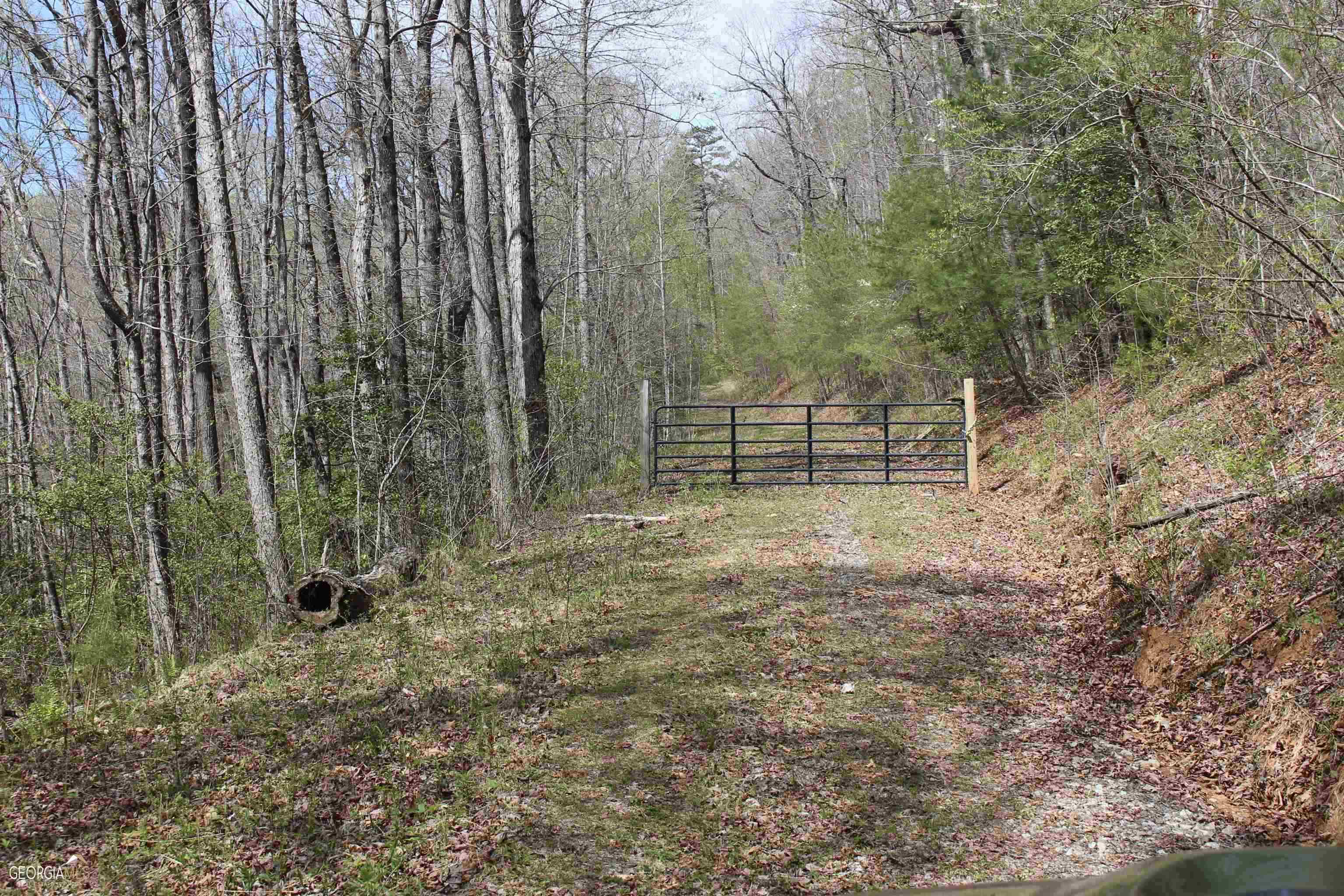 0 Charlie Mountain Road Tiger, GA 30576 - Photo 1 of 1 Gallery Image 1