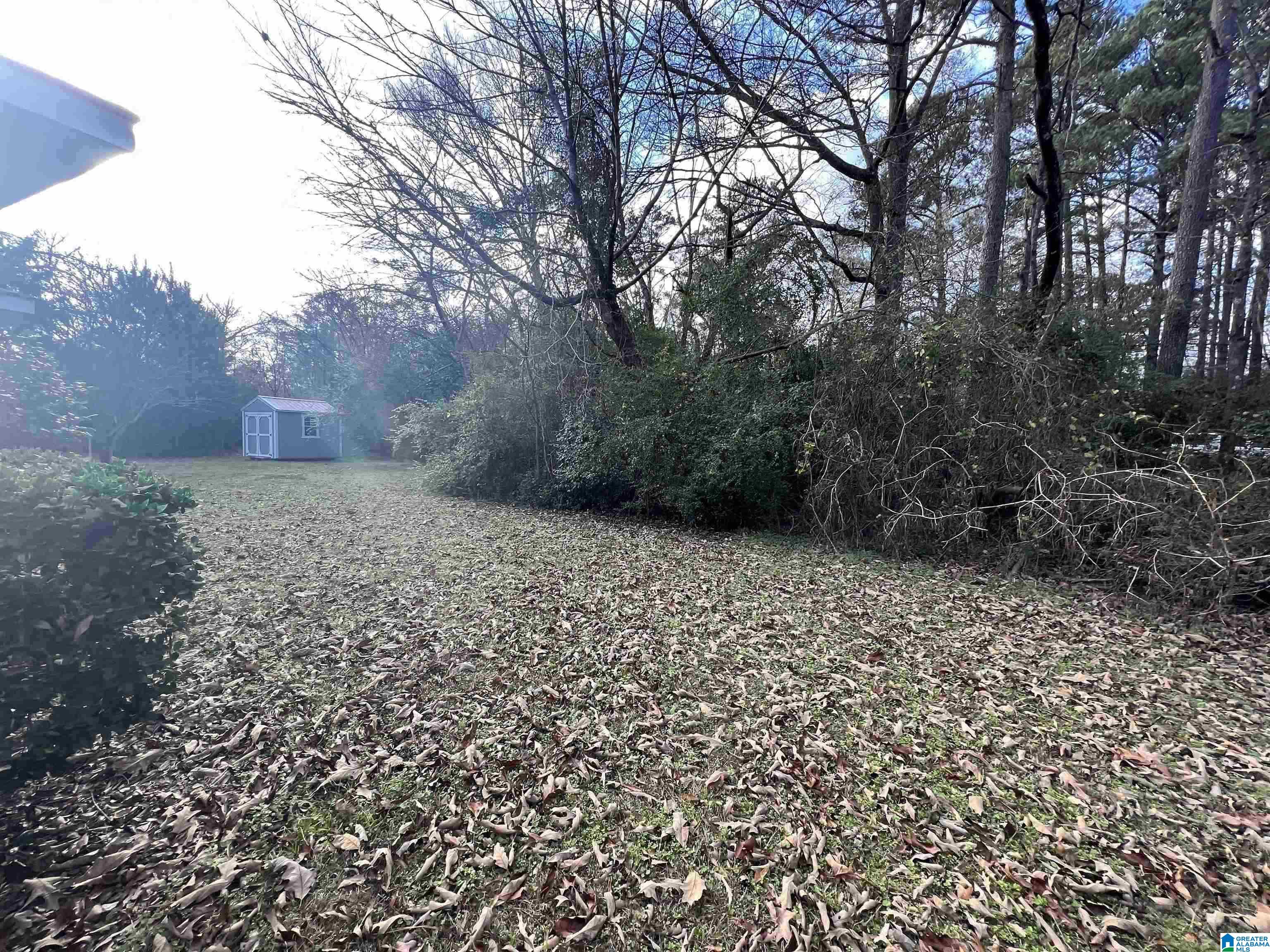 110 Myrtle Street Columbiana, AL 35051 - Photo 4 of 4 Gallery Image 4