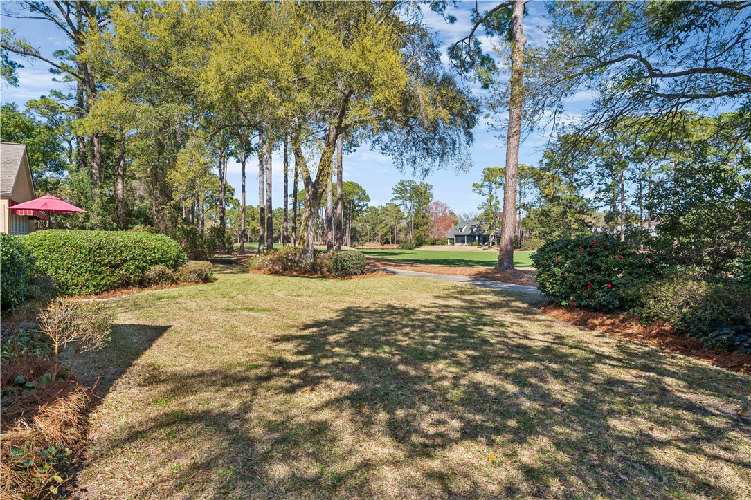 125 Pine Valley St. Simons Island, GA 31522 - Photo 3 of 14 Back Yard