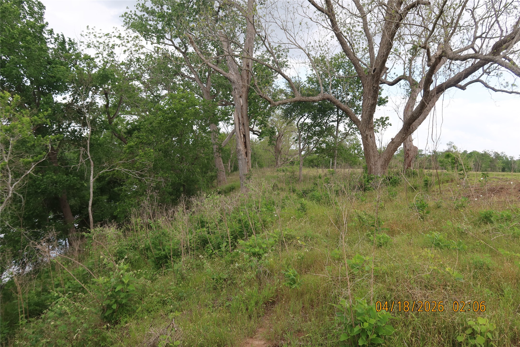 1052 Railhead Road Columbus, TX 78934 - Photo 12 of 31