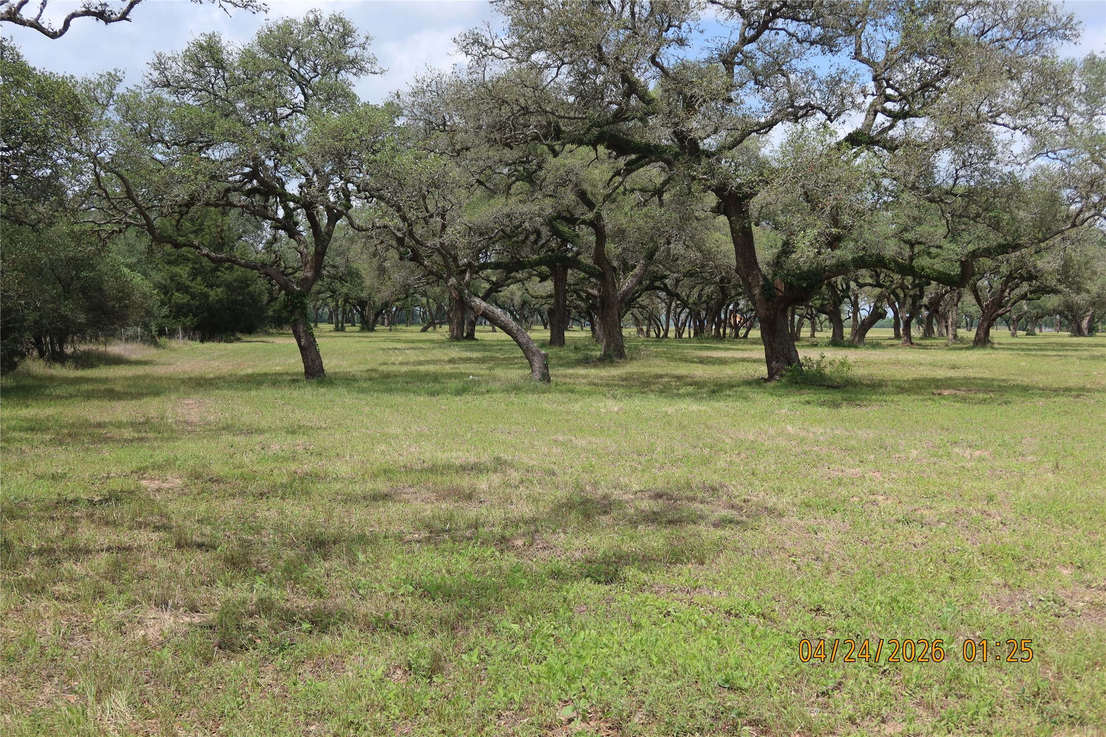 1052 Railhead Road Columbus, TX 78934 - Photo 18 of 31