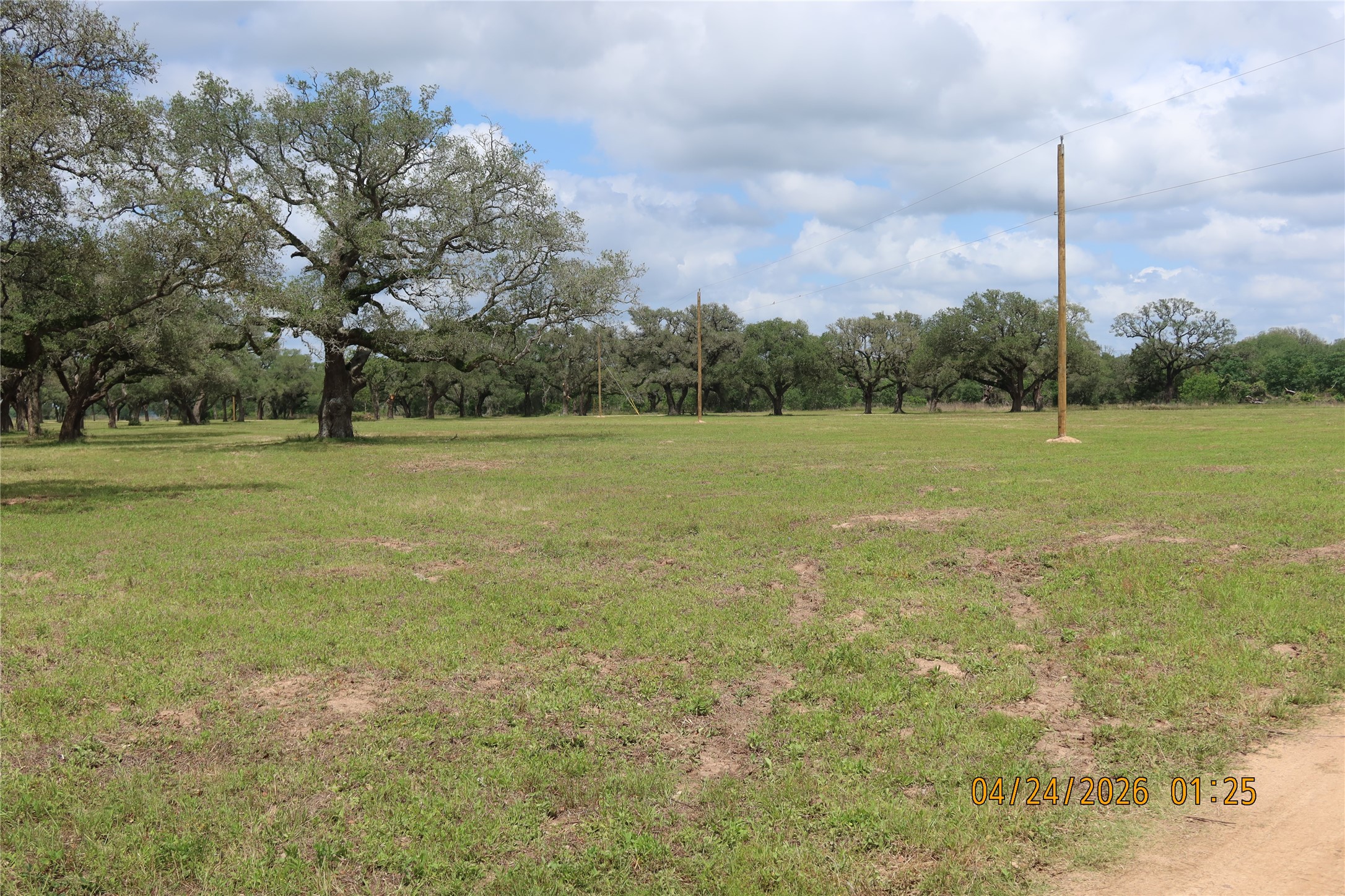 1052 Railhead Road Columbus, TX 78934 - Photo 19 of 31