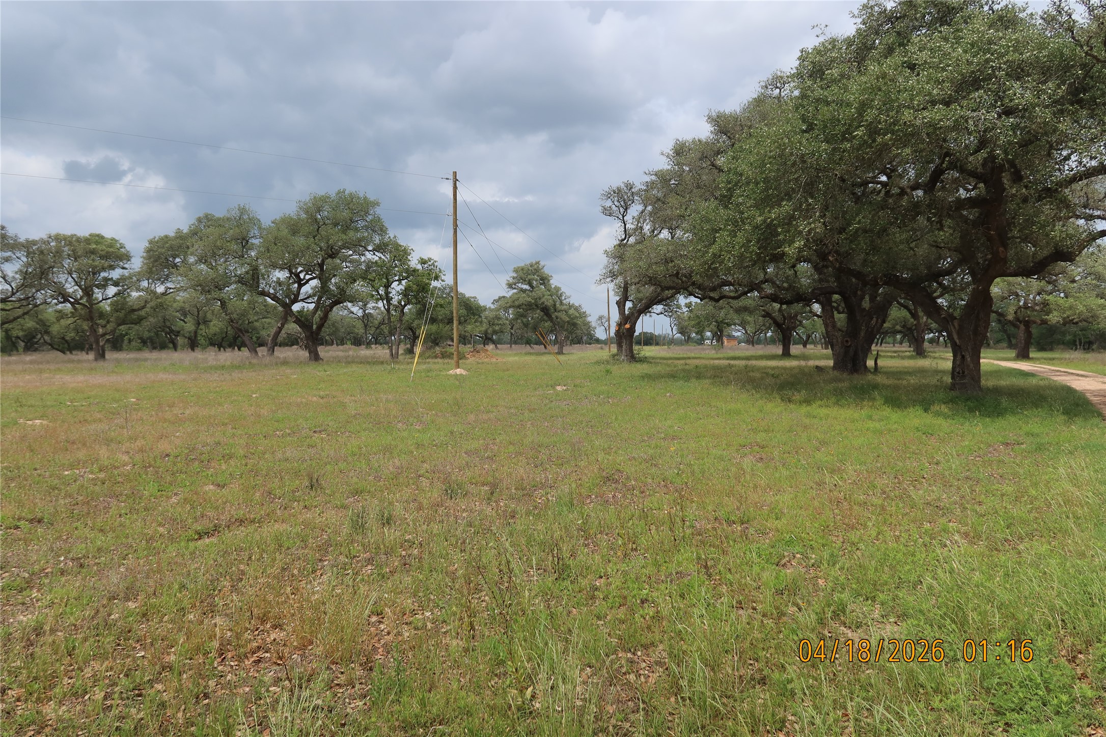 1052 Railhead Road Columbus, TX 78934 - Photo 2 of 31 a view of a field with an trees in the background
