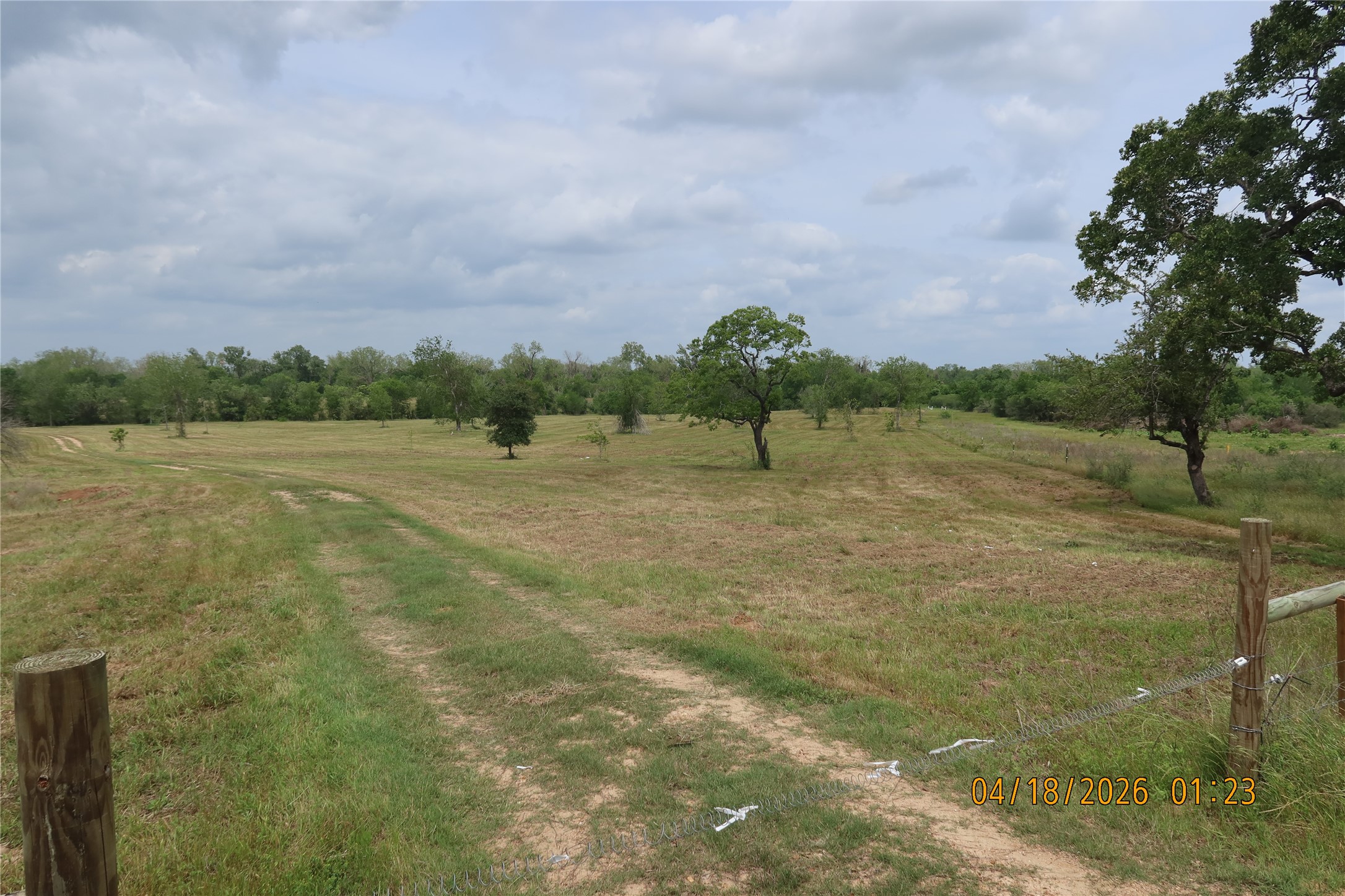 1052 Railhead Road Columbus, TX 78934 - Photo 4 of 31 a view of lake with mountain