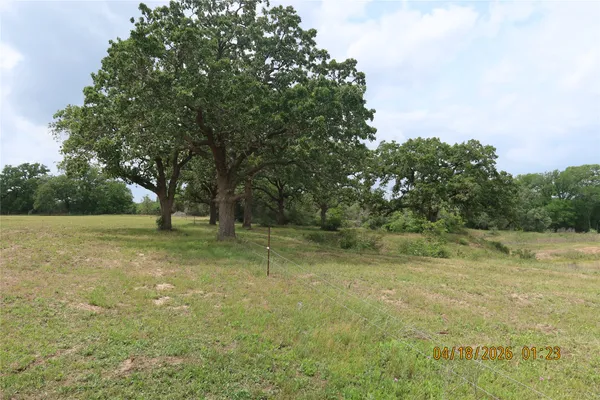 a view of a field of grass and trees