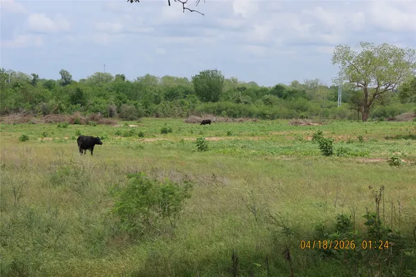 a view of a field with trees in the background