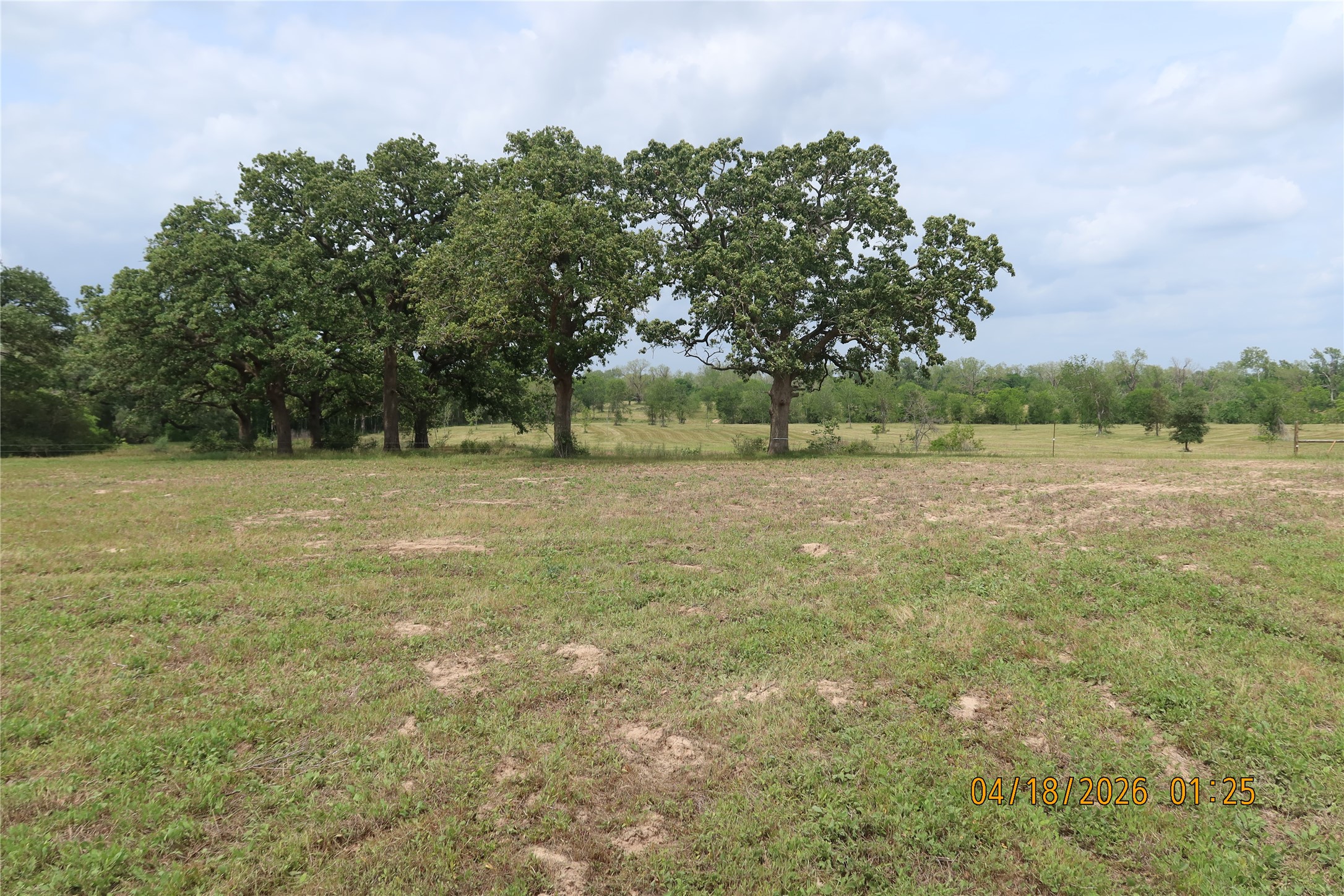 1052 Railhead Road Columbus, TX 78934 - Photo 7 of 31 a view of a field with trees in the background