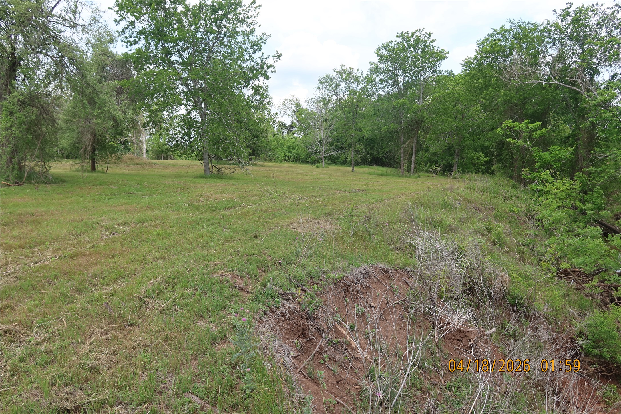 1052 Railhead Road Columbus, TX 78934 - Photo 8 of 31