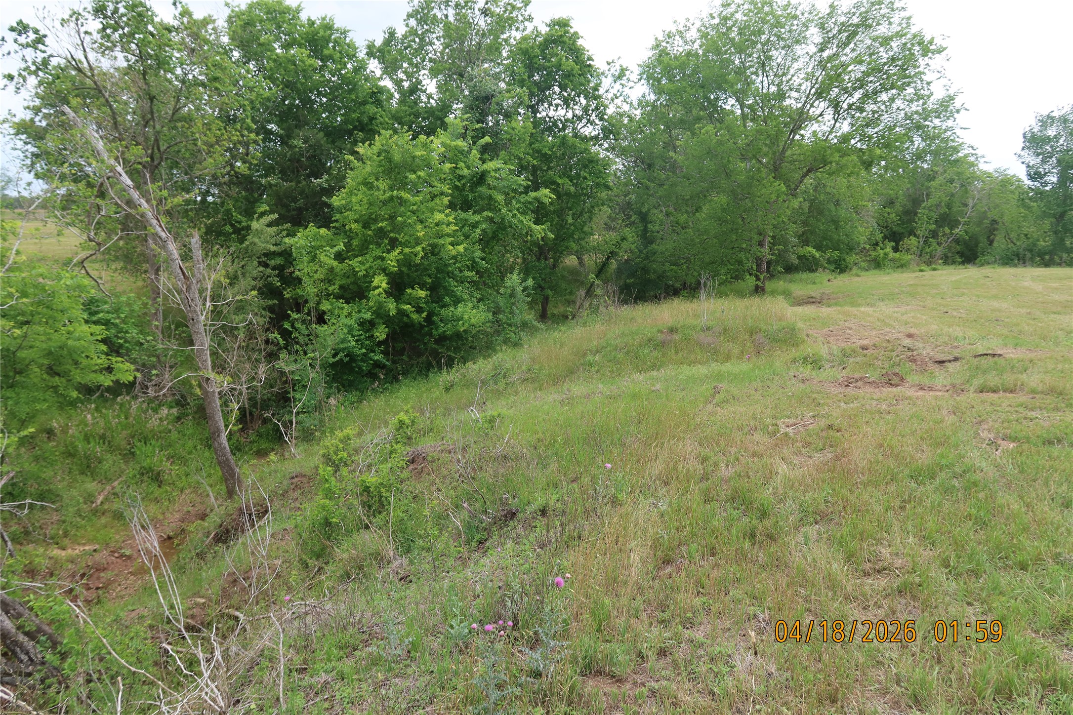1052 Railhead Road Columbus, TX 78934 - Photo 9 of 31