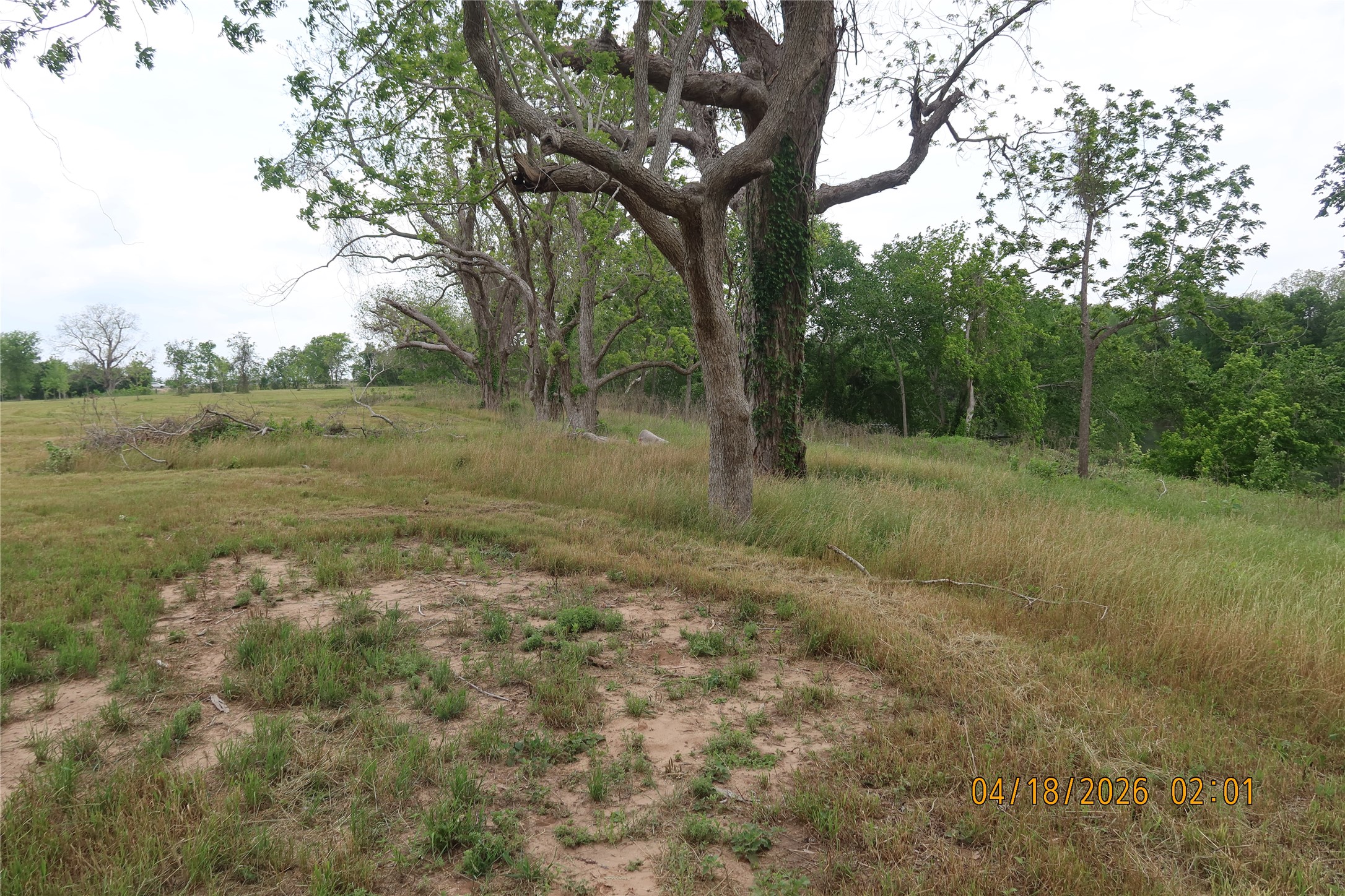1052 Railhead Road Columbus, TX 78934 - Photo 10 of 31