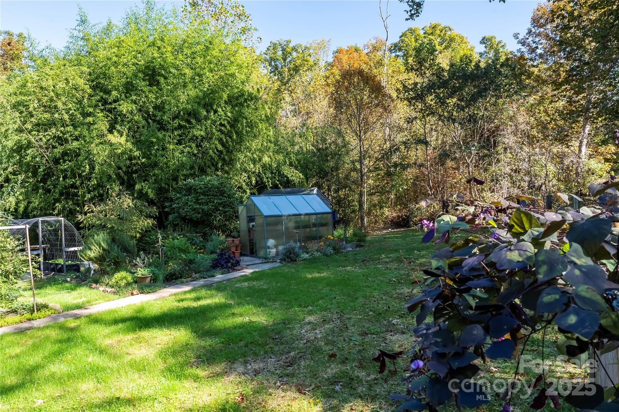 1270 Lilly Drive Clover, SC 29710 - Photo 7 of 8 a backyard of a house with lots of green space