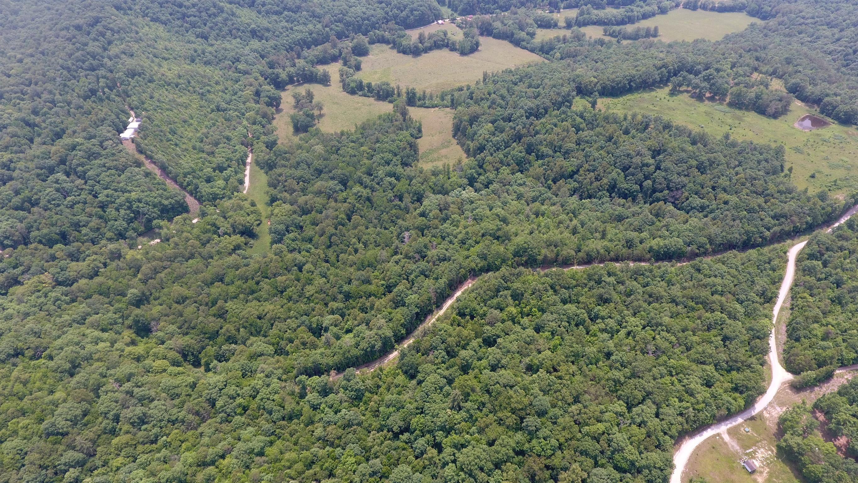0 Ridge Top Road Sunbright, TN 37872 - Photo 3 of 9 Gallery Image 3