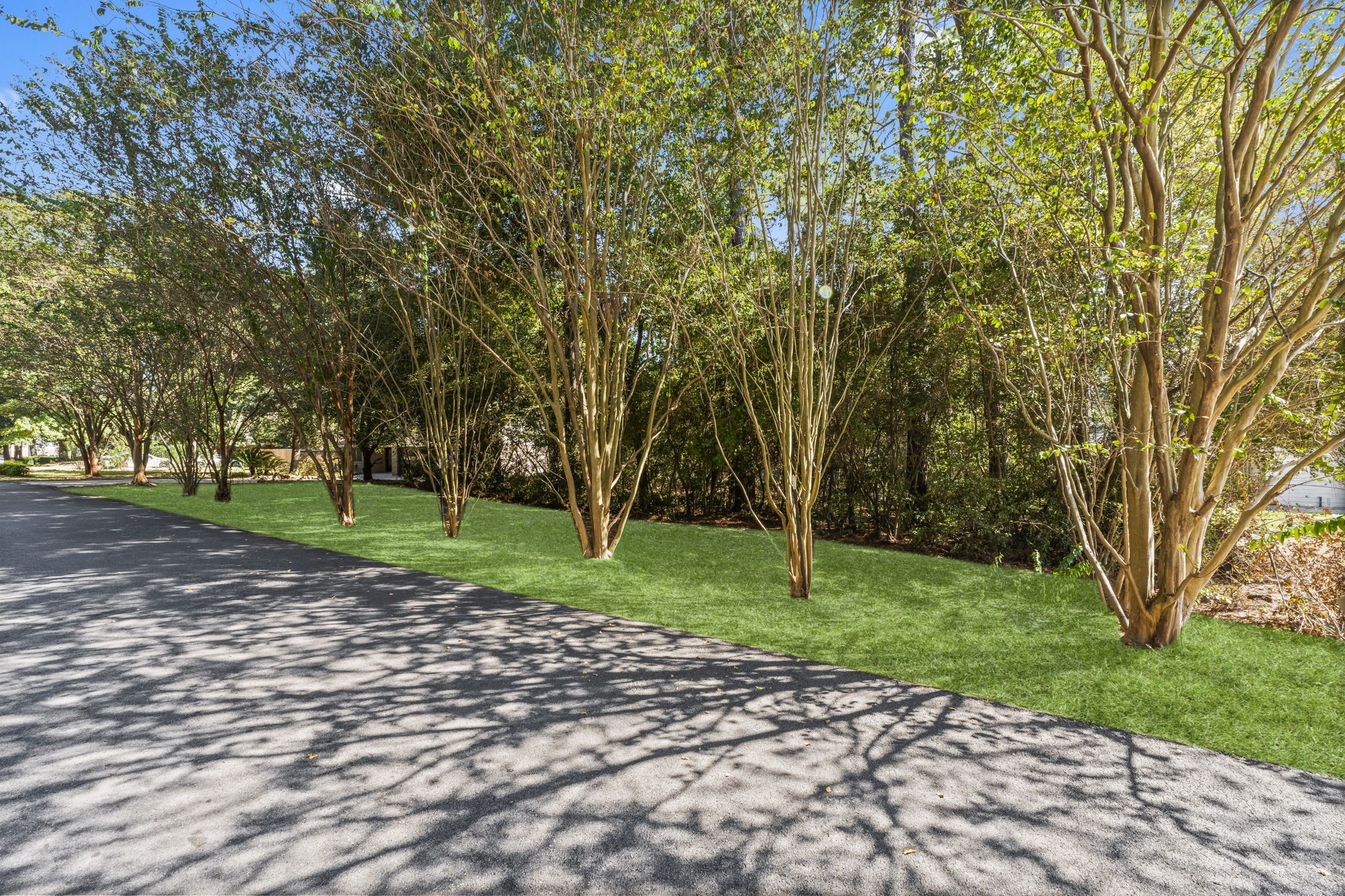 25206-5 Spring Ridge Drive Spring, TX 77386 - Photo 3 of 7 a huge green field with lots of trees
