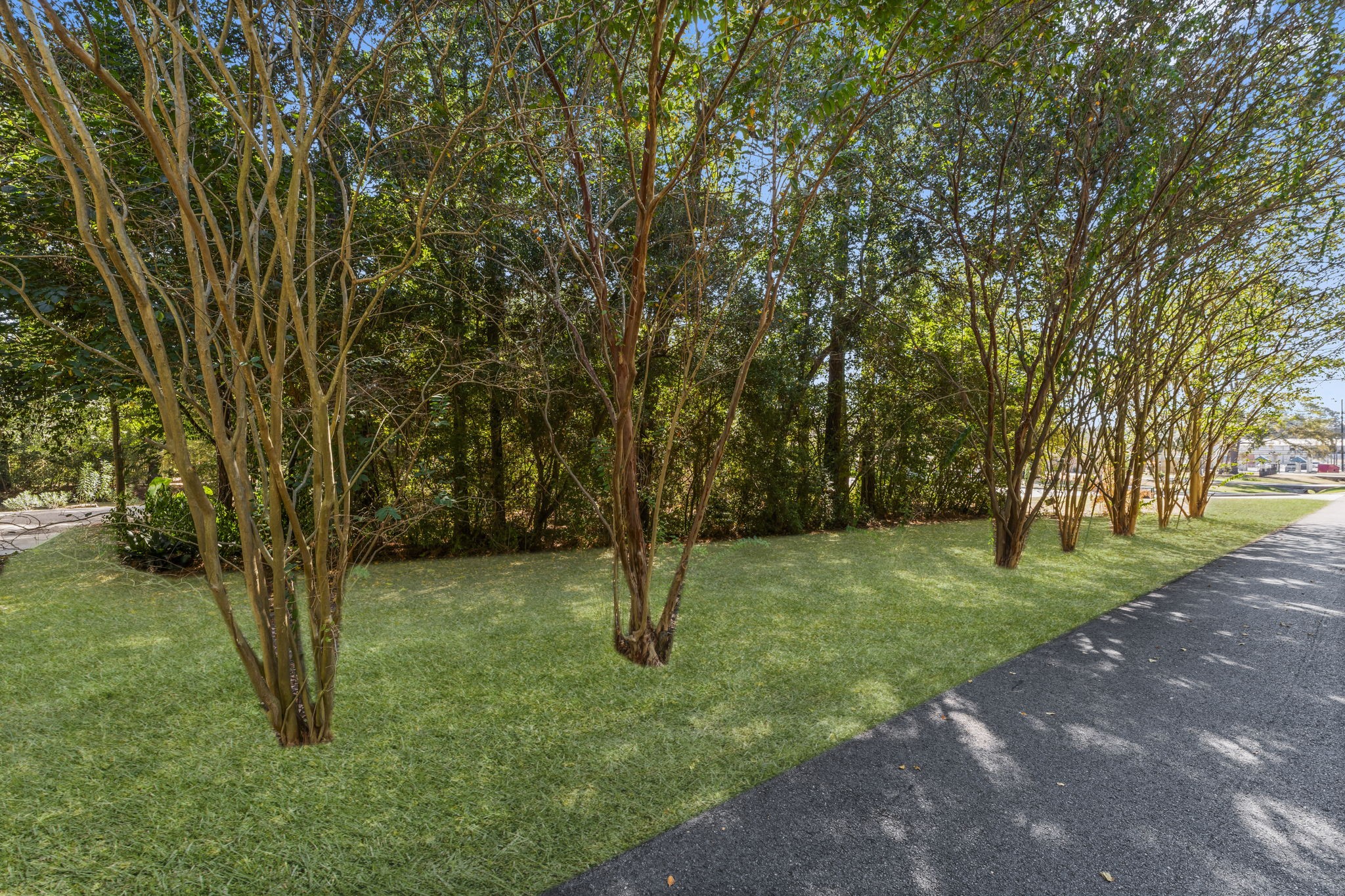 25206-5 Spring Ridge Drive Spring, TX 77386 - Photo 5 of 7