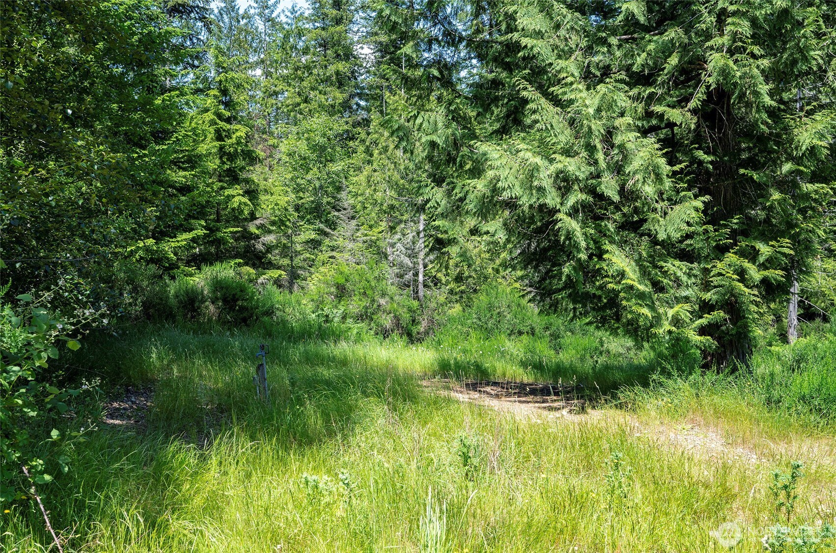 200 Peter Hagen Road Northwest Seabeck, WA 98380 - Photo 28 of 37