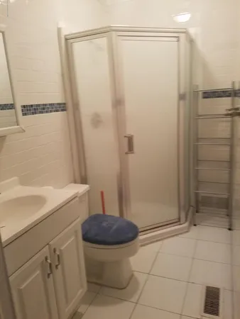 a bathroom with a shower and a toilet