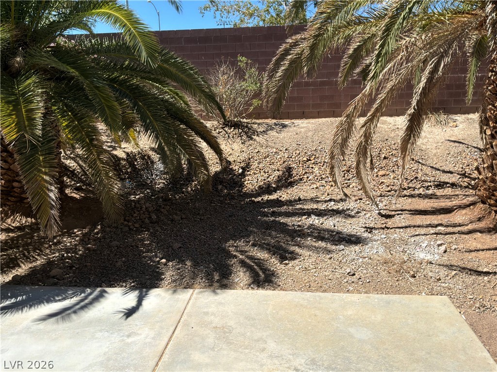 9041 Rendon Street Las Vegas, NV 89143 - Photo 34 of 34 Mature palms frame a concrete patio bordering a low-maintenance desert yard.