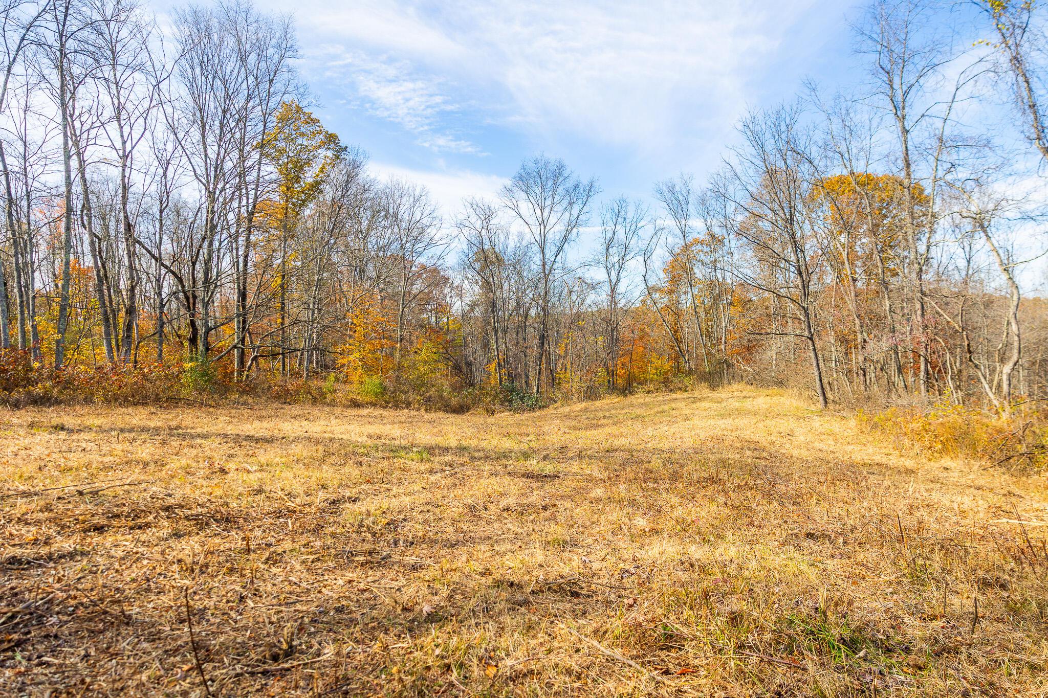 0 Hambel Road Malta, OH 43758 - Photo 11 of 65 788A9707
