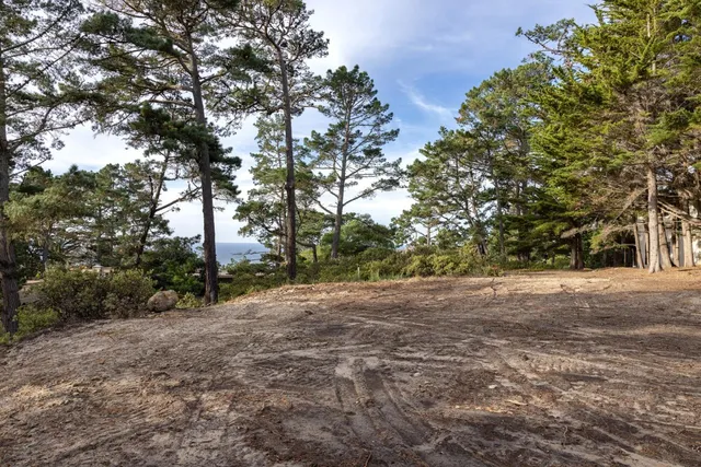 a view of outdoor space with trees