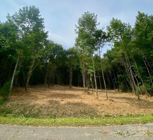 $87,000 | 3 Erwin Temple Church Road, Woodleaf, NC 27054