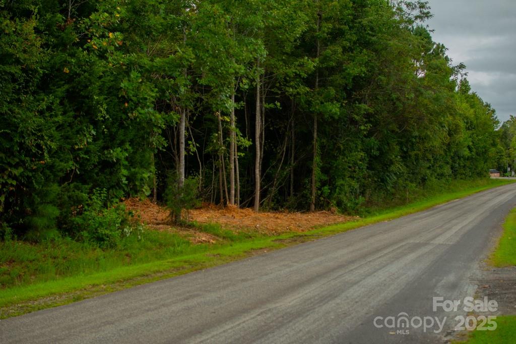 3 Erwin Temple Church Road Woodleaf, NC 27054 - Photo 4 of 7