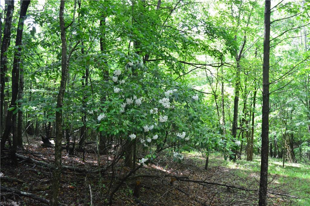 0 Northview Church Road Sandy Ridge, NC 27046 - Photo 14 of 16