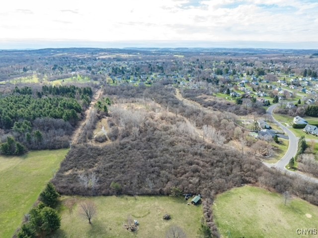 0 Howlett Camillus, NY 13031 - Photo 13 of 38